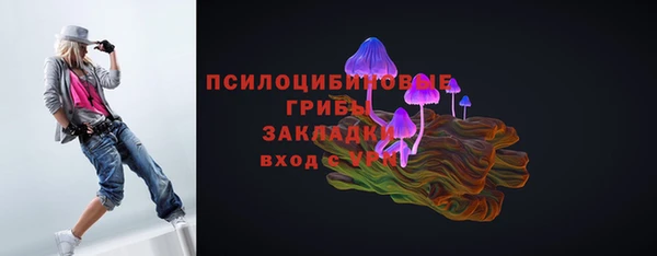 метадон Богородицк