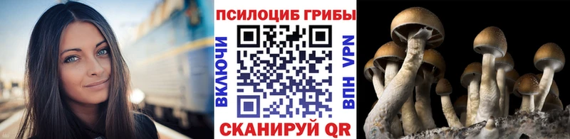 Галлюциногенные грибы ЛСД  Вяземский 